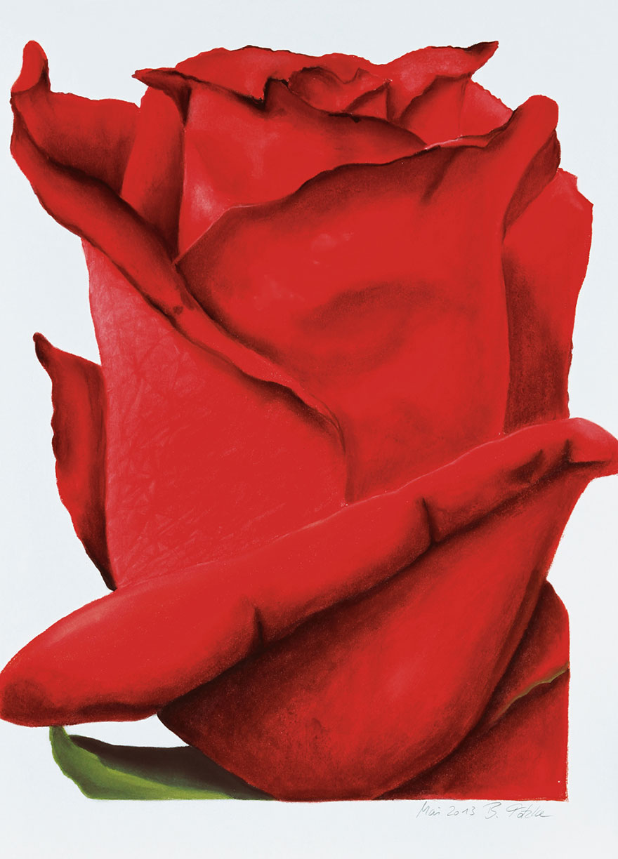 RosenPastellkreide,Birgit Totzke,Rosen,Blumenbilder