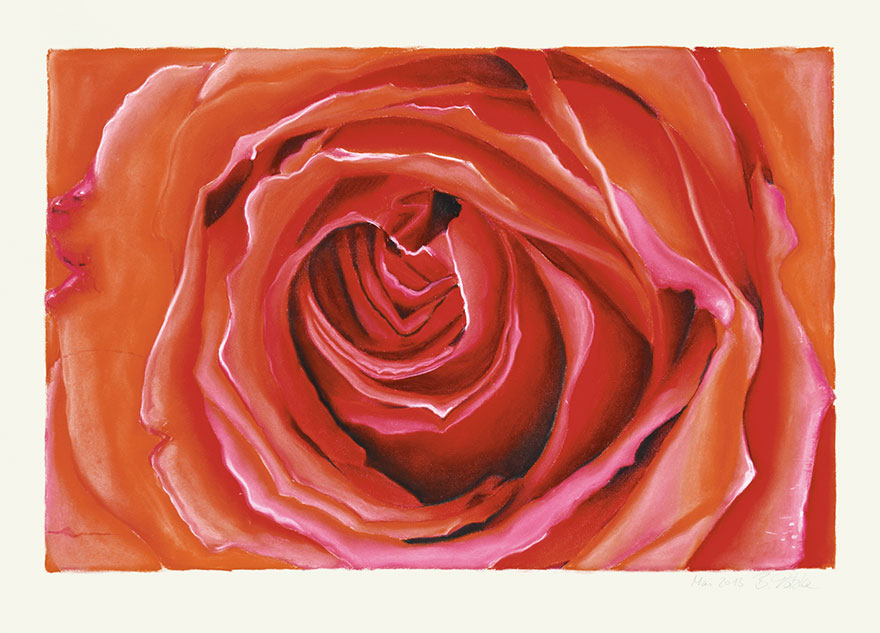 RosenPastellkreide,Birgit Totzke,Rosen,Blumenbilder